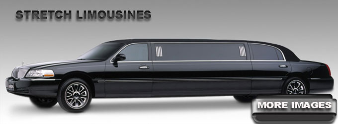 LA Party Bus Rental Services