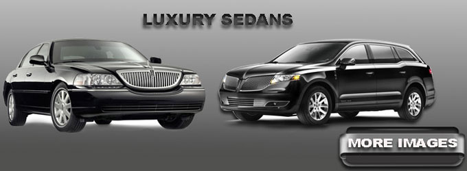 LA Party Bus Rental Services