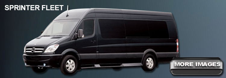 Sprinter Fleet