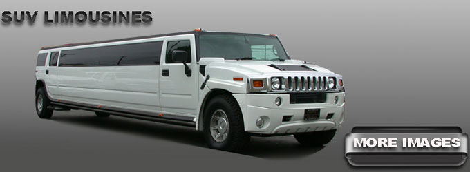 LA Party Bus Rental Services